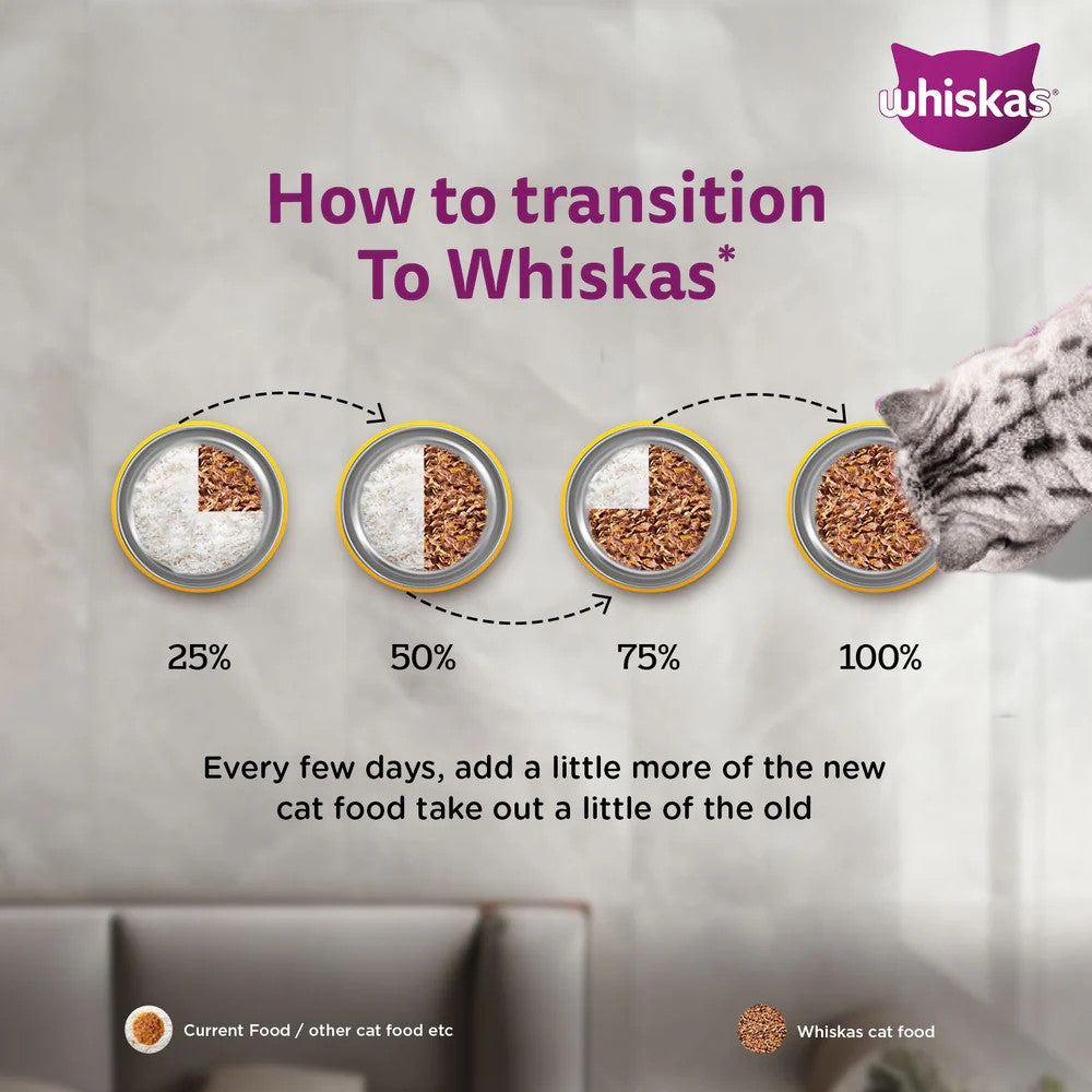 Whiskas Adult Cat Food – Salmon in Gravy | 80g Pouch | Wet Food for Cats | Complete & Balanced Nutrition