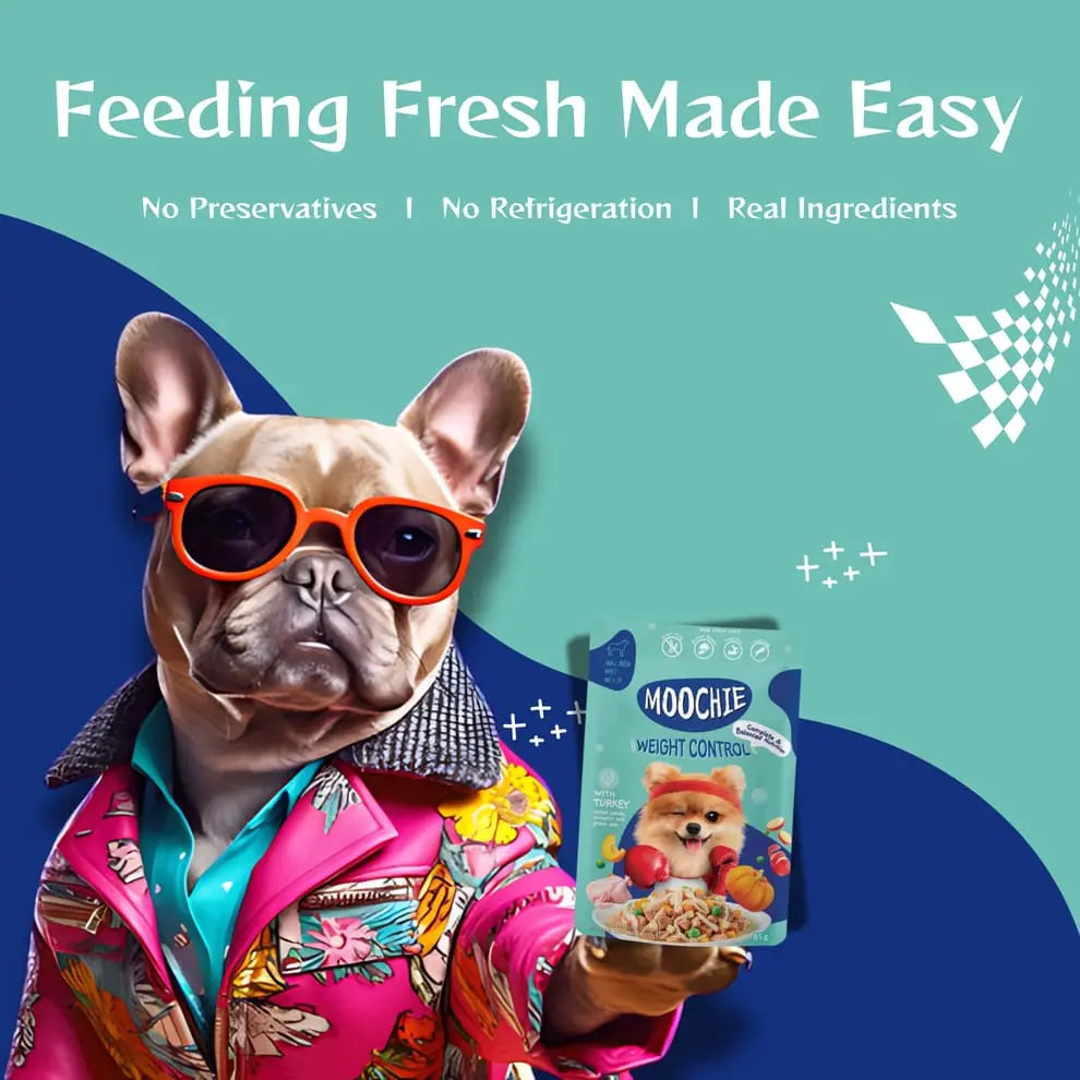 Moochie Weight Control Casserole with Turkey Gravy – Adult Dog Wet Food Nannan