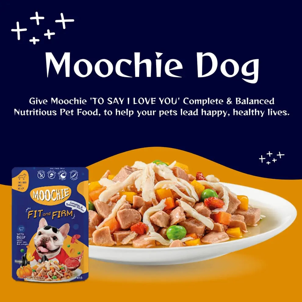Moochie Fit and Firm Casserole with Lamb Gravy – Adult Dog Wet Food Nannan