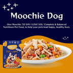 Moochie Fit and Firm Casserole with Lamb Gravy – Adult Dog Wet Food Nannan