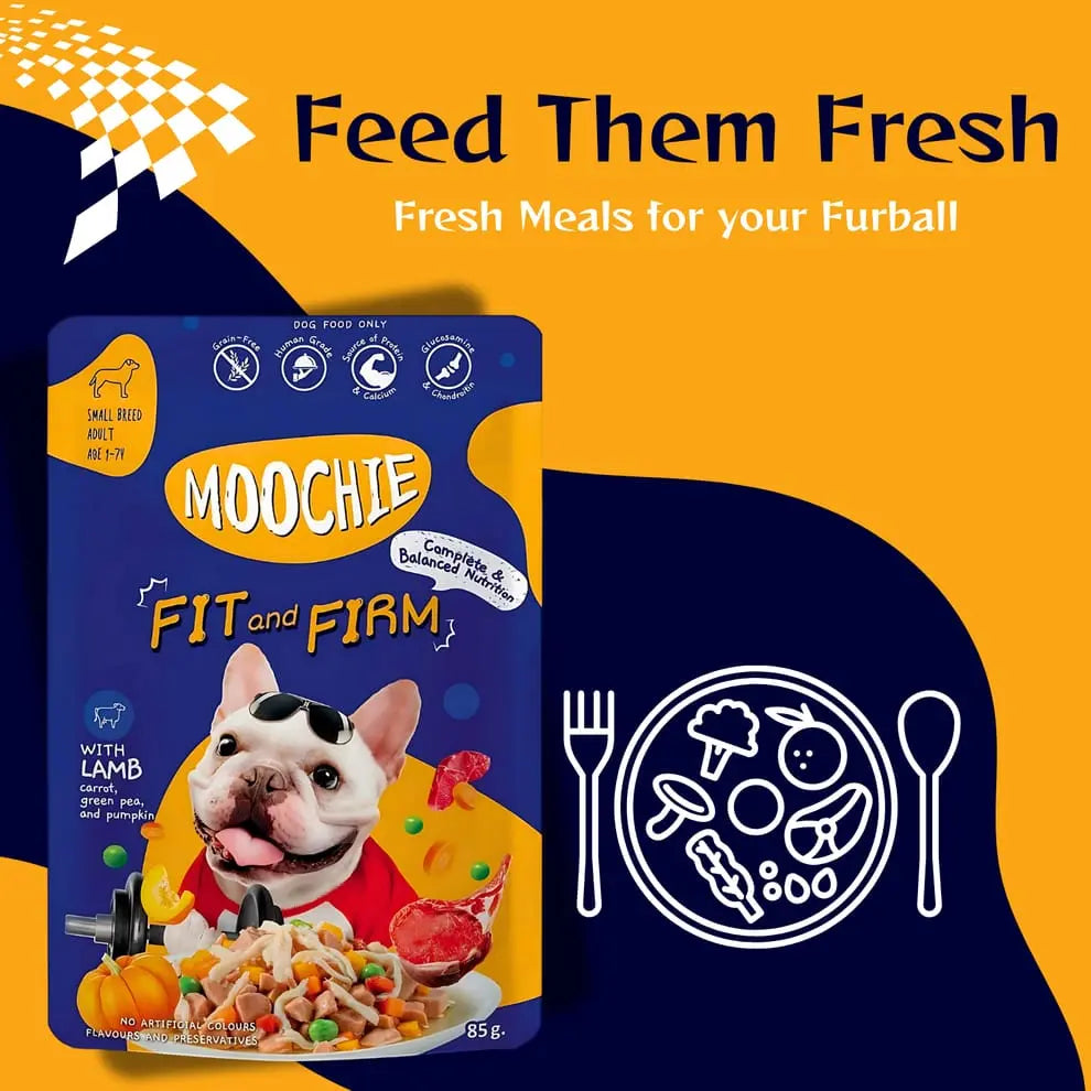 Moochie Fit and Firm Casserole with Lamb Gravy – Adult Dog Wet Food Nannan