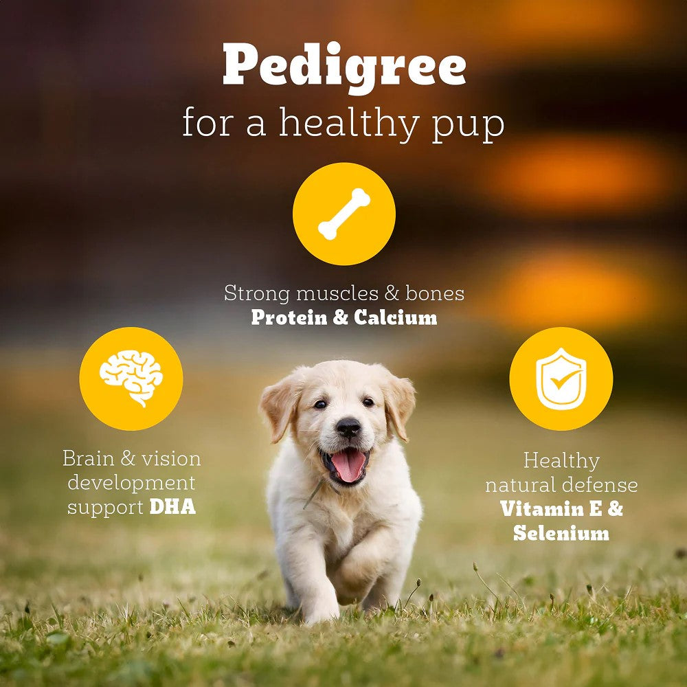 Pedigree Puppy Dog Food – Chicken & Milk | 1kg Pack | Complete & Balanced Nutrition