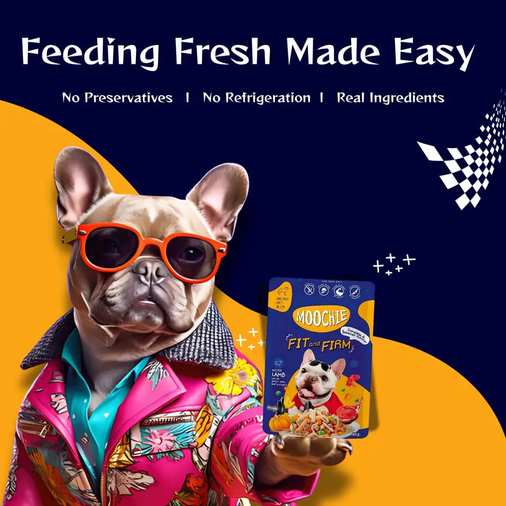 Moochie Fit and Firm Casserole with Lamb Gravy – Adult Dog Wet Food Nannan