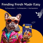 Moochie Fit and Firm Casserole with Lamb Gravy – Adult Dog Wet Food Nannan