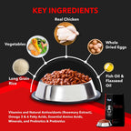 Drools Focus Puppy Super Premium Dog Food – Rich in Chicken | For All Breeds | High Protein & DHA Formula | 1.2kg / 4kg /  12kg Pack