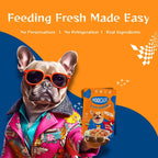 Moochie Boost Immune Casserole with Duck Gravy - Adult Dog Wet Food Nannan