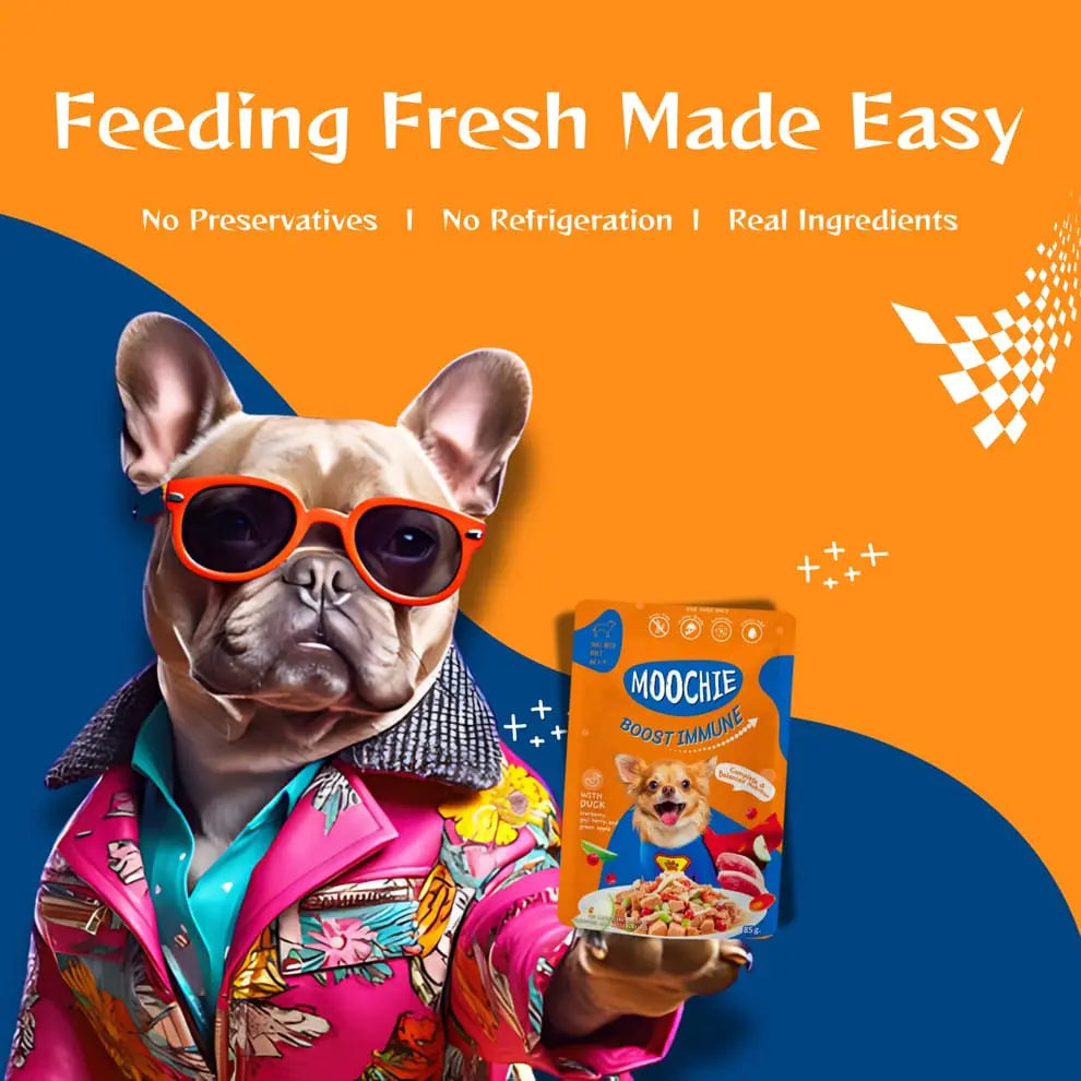 Moochie Boost Immune Casserole with Duck Gravy - Adult Dog Wet Food Nannan