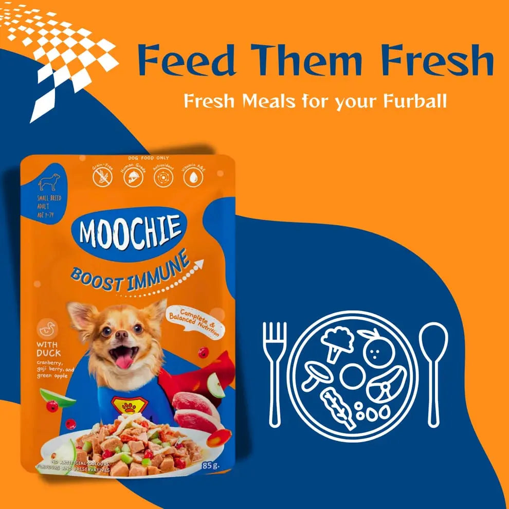 Moochie Boost Immune Casserole with Duck Gravy - Adult Dog Wet Food Nannan