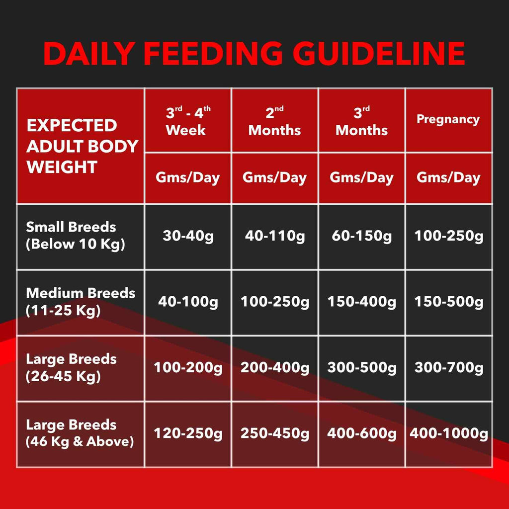 Drools Focus Starter Premium Pet Food for Puppies & Mother Dogs | High Protein | DHA for Brain Development | Immunity Boosting Formula | 1.2kg / 4kg / 8kg / 12kg Pack