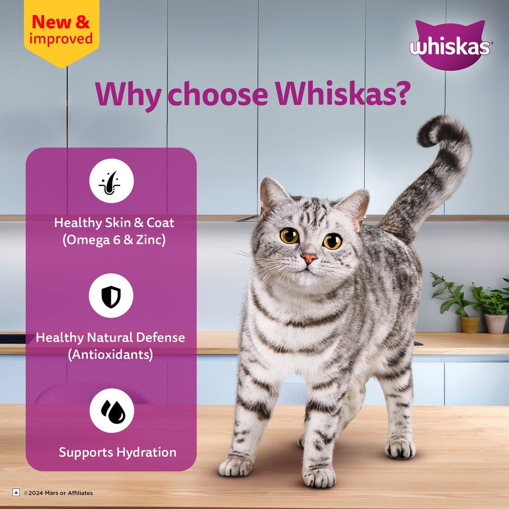 Whiskas Adult Cat Food – Salmon in Gravy | 80g Pouch | Wet Food for Cats | Complete & Balanced Nutrition