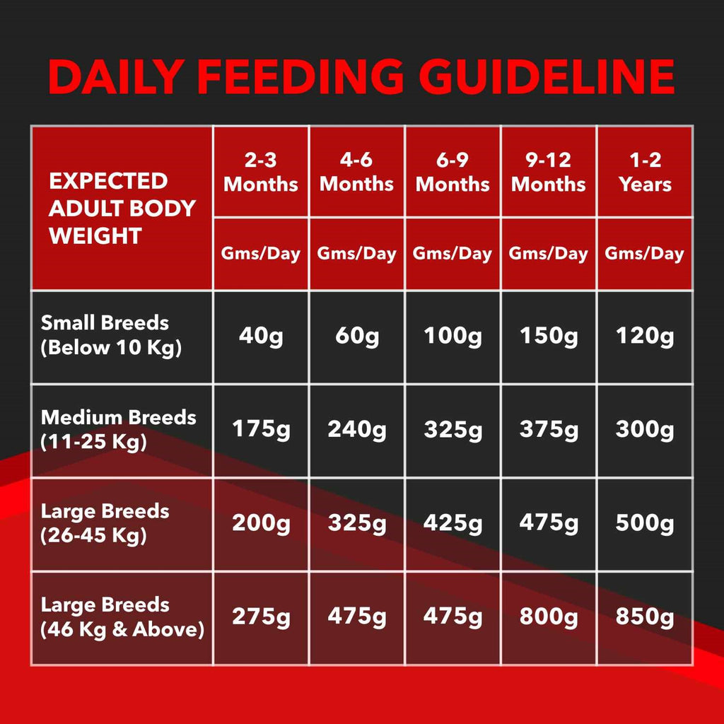 Drools Focus Puppy Super Premium Dog Food – Rich in Chicken | For All Breeds | High Protein & DHA Formula | 1.2kg / 4kg /  12kg Pack