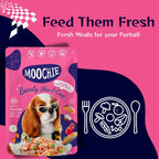Moochie Beauty Skin and Coat Casserole with Salmon Gravy - Adult Dog Wet Food Nannan