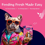 Moochie Beauty Skin and Coat Casserole with Salmon Gravy - Adult Dog Wet Food Nannan