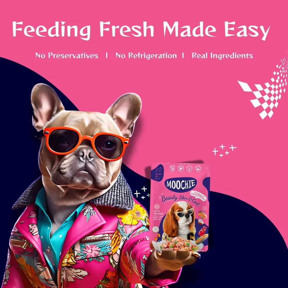 Moochie Beauty Skin and Coat Casserole with Salmon Gravy - Adult Dog Wet Food Nannan