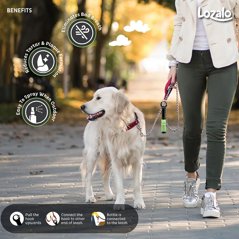 Lozalo Orofresh Mouth Freshener Spray for Dogs (22ml) Nannan