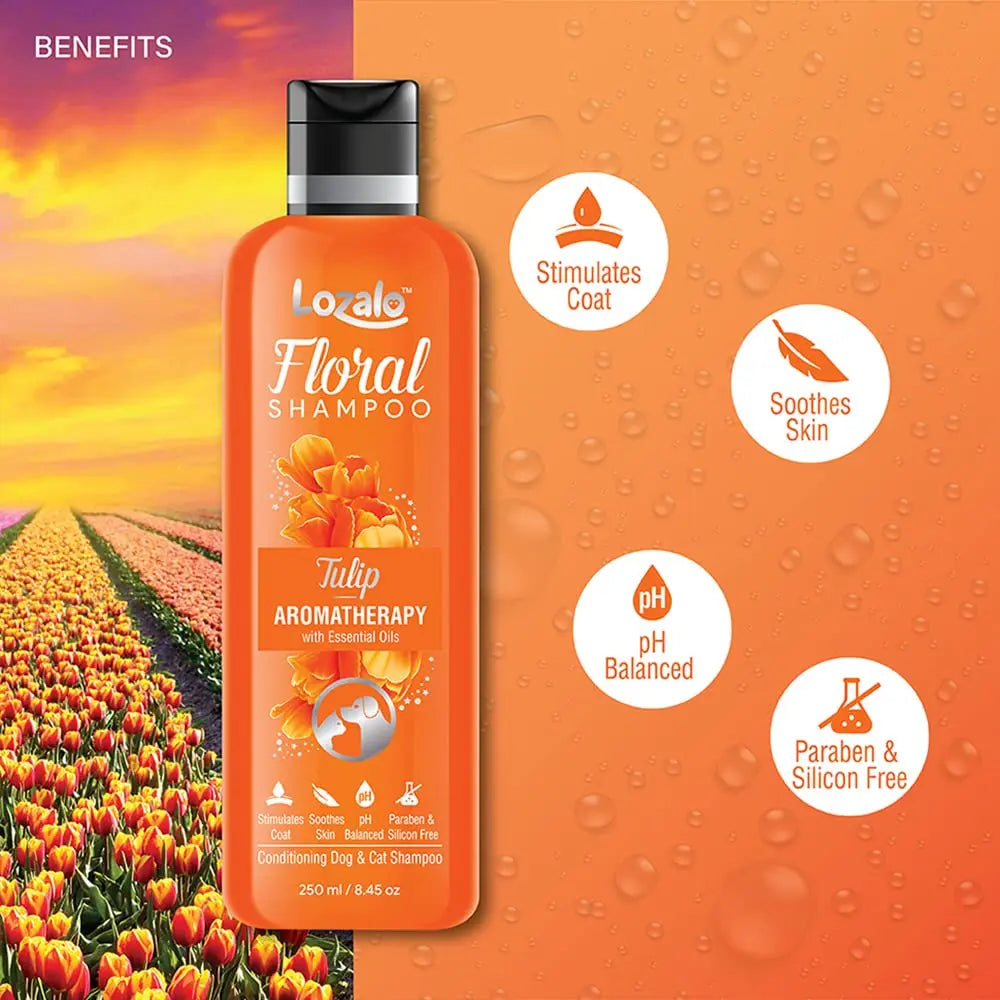 Lozalo Floral Shampoo – Tulip (For Dogs & Cats) Nannan