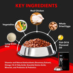 Drools Focus Adult Super Premium Dog Food – Real Chicken, High Protein | All Breed Nutrition | 1.2kg / 4kg / 8kg / 12kg Pack