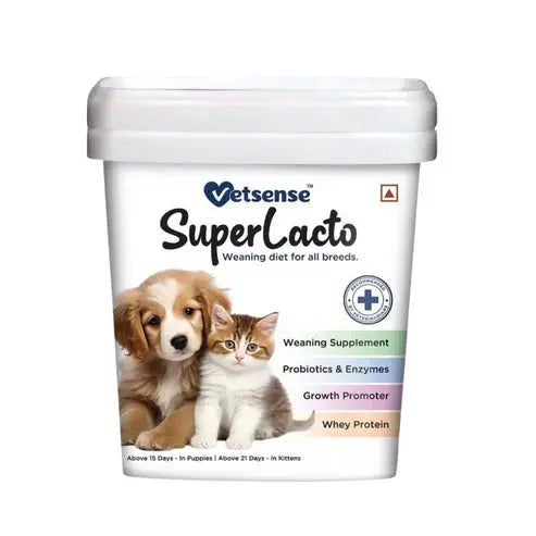 Vetsense Superlacto Digestive Supplement with Probiotic & Prebiotic Formula for Dogs & Cats (400g) - Nannan