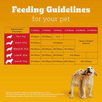 Pedigree Puppy Dog Food – Chicken & Milk | 1kg Pack | Complete & Balanced Nutrition