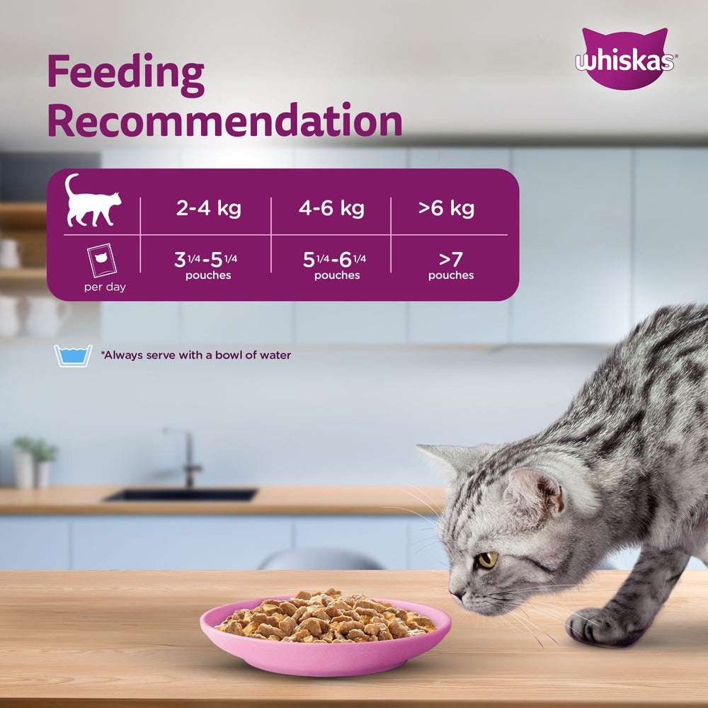 Whiskas Adult Cat Food – Salmon in Gravy | 80g Pouch | Wet Food for Cats | Complete & Balanced Nutrition