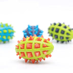 Squeaky Spike Rugby Toy Nannan