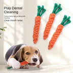 Polester Carrot Toy Nannan