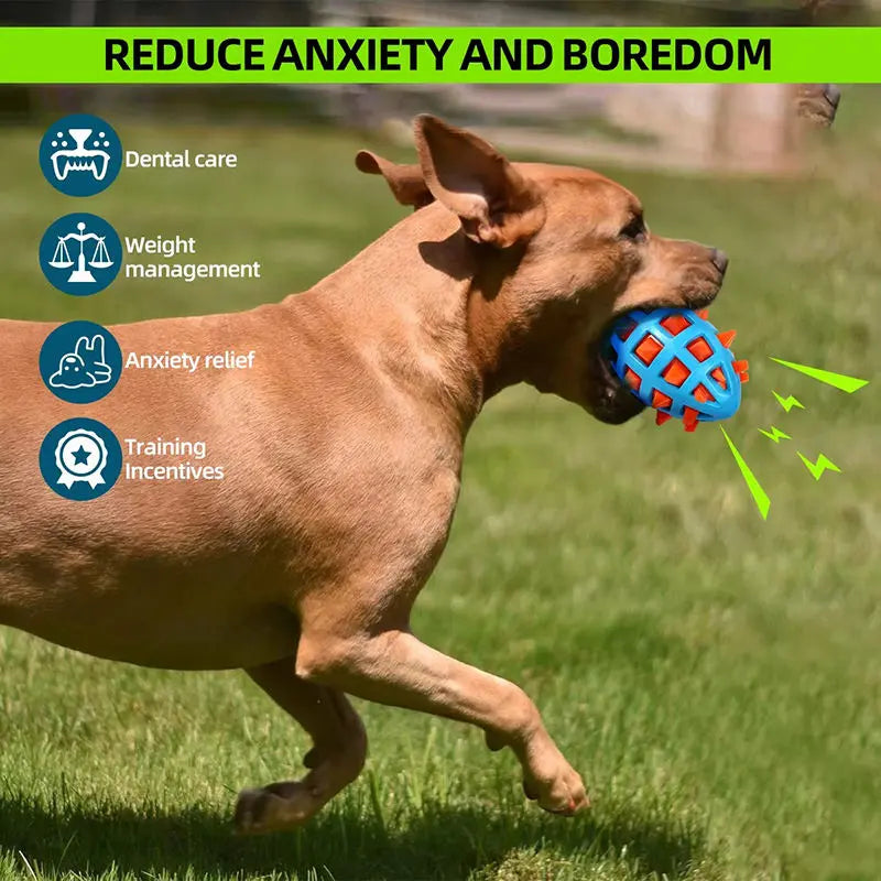 Squeaky Spike Rugby Toy Nannan