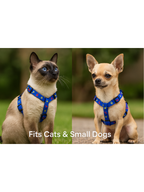 Pet Harness & Leash Set – Adjustable for Cats & Small Dogs | Colorful Print | Lightweight & Secure