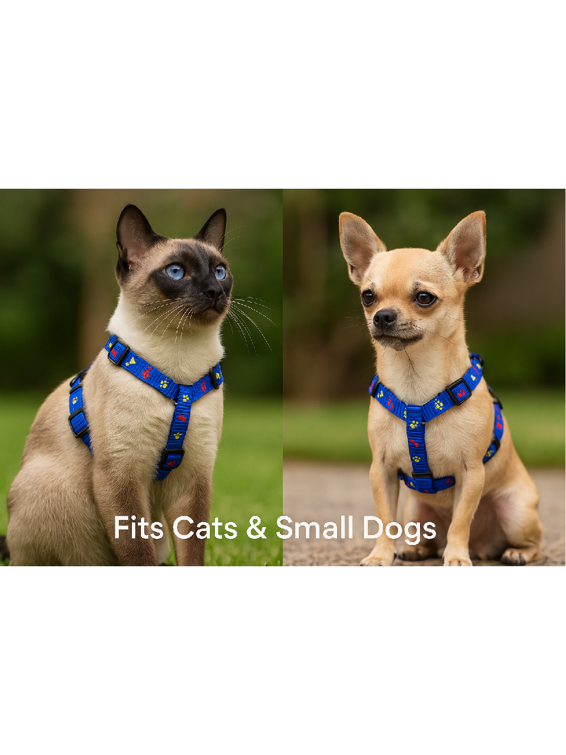 Pet Harness & Leash Set – Adjustable for Cats & Small Dogs | Colorful Print | Lightweight & Secure