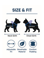Cat Harness & Leash Set – Adjustable Soft Nylon with Cute Butterfly Wings | For Kittens & Cats | Escape-Proof & Stylish