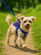 Small Dog Harness & Leash Set – Adjustable with Soft Butterfly Wings | Escape-Proof & Comfortable for Puppies & Toy Breeds