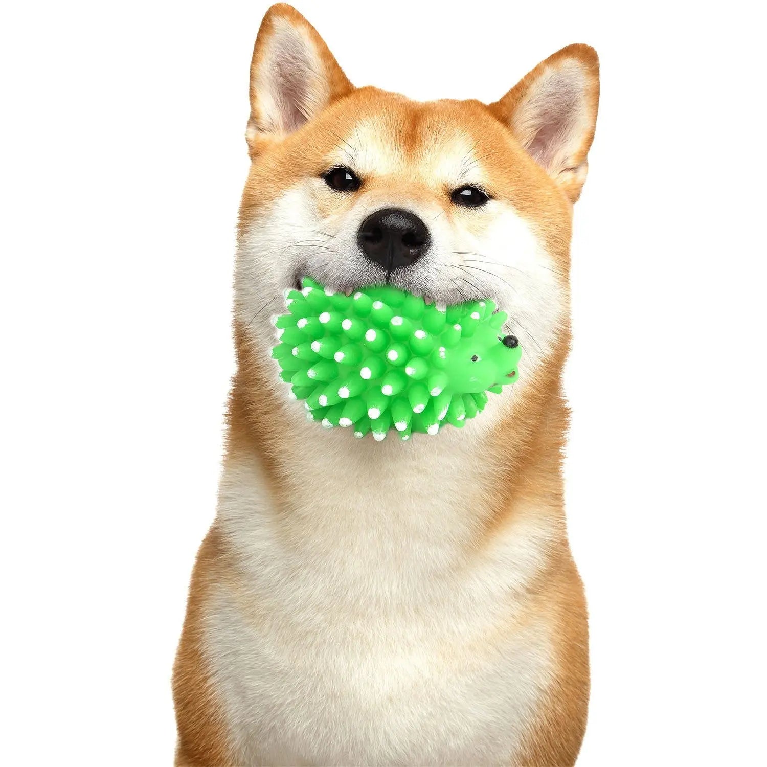 Squeaky Porcupine Nannan